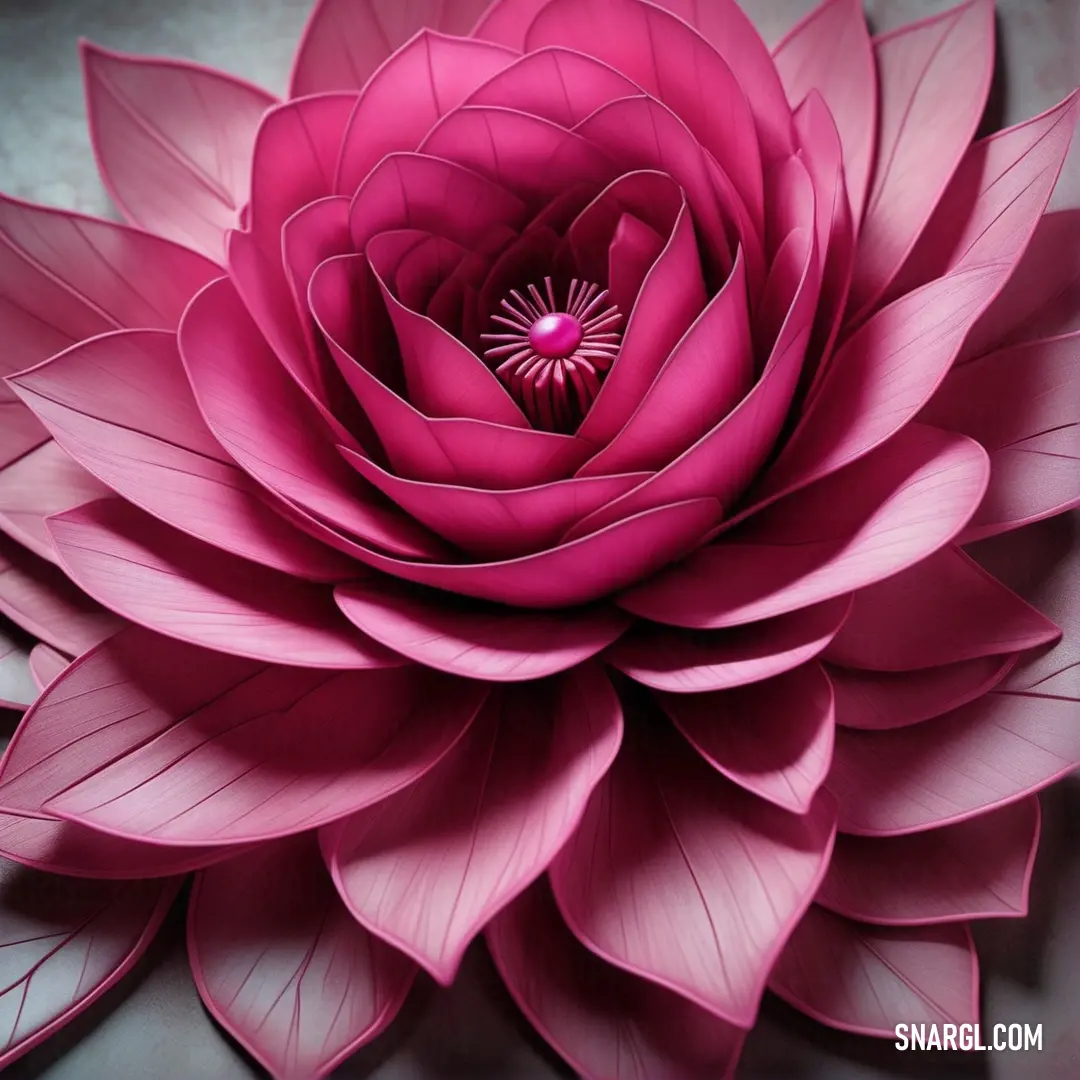 Large pink flower with leaves on a table top with a black background. Example of RGB 222,49,99 color.