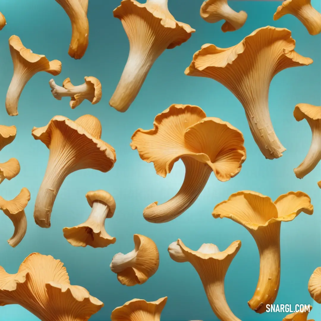 Group of mushrooms are shown in a pattern on a blue background