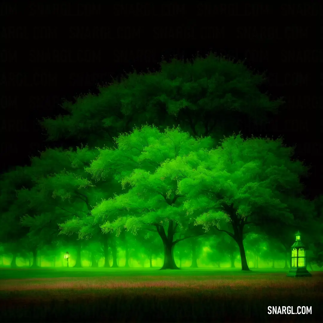 Green tree in a park with a light on it's branches and a bench under it with a lamp post