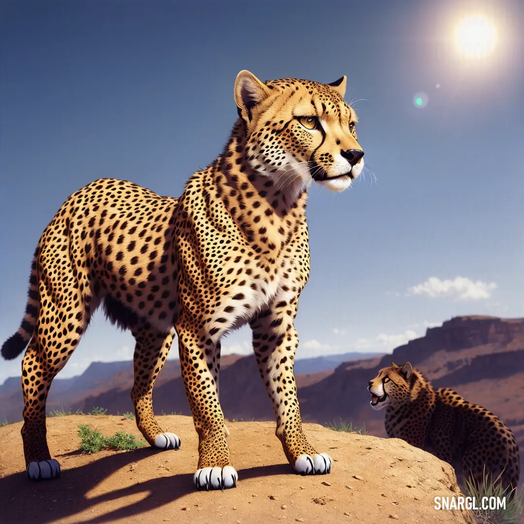 Cheetah and a cheetah are standing on a hill side in the desert, with a bright sun in the background