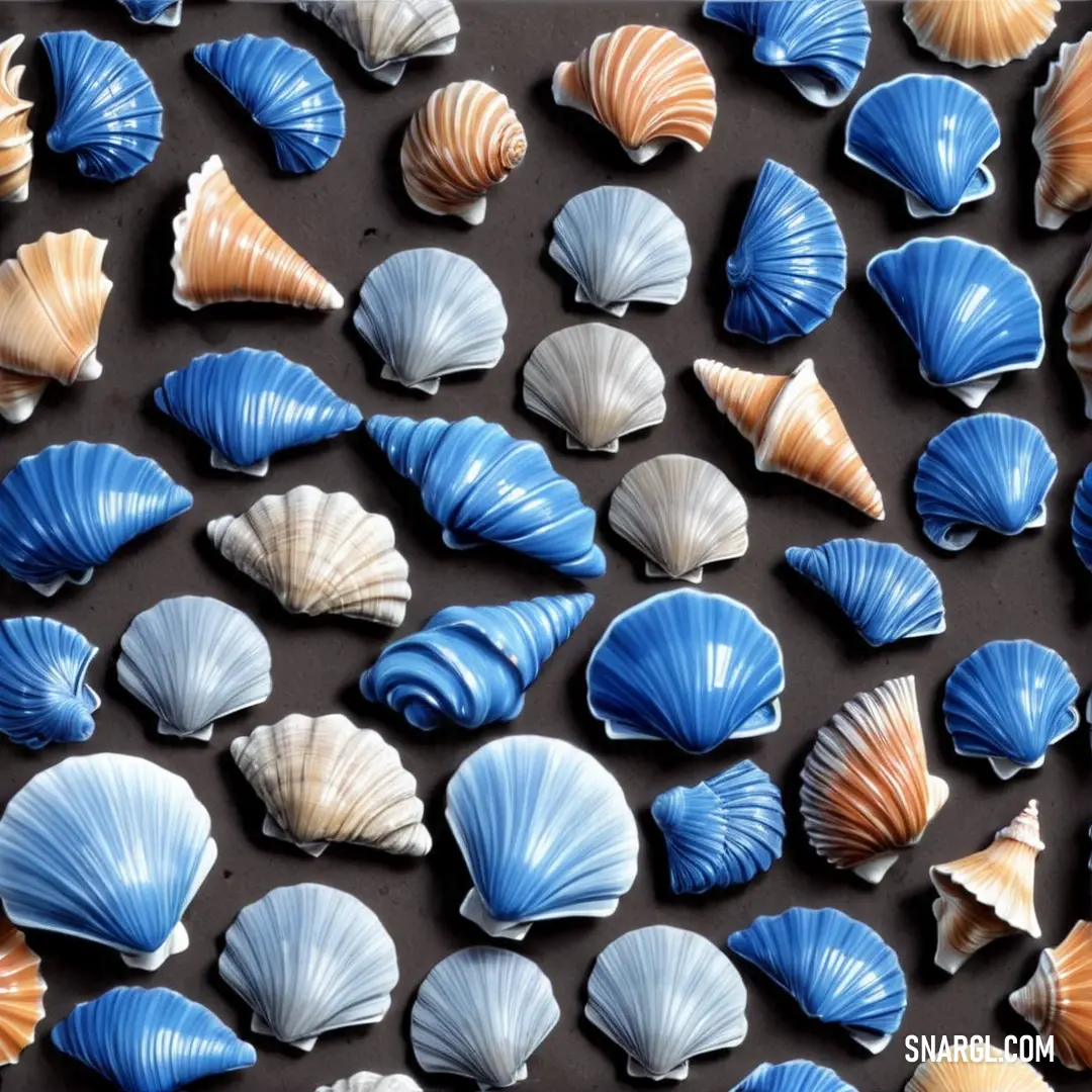 Bunch of shells are laying on a table together, some of them are blue and white