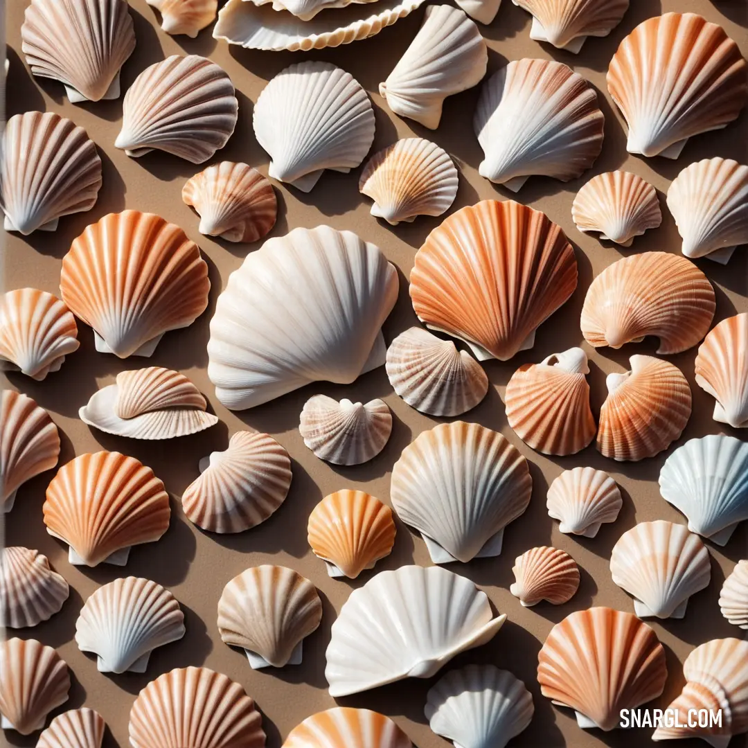 Group of sea shells on a brown surface with a shell in the middle of the picture