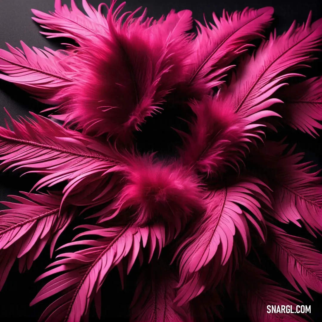 Close up of a pink flower on a black background. Color #DE3163.