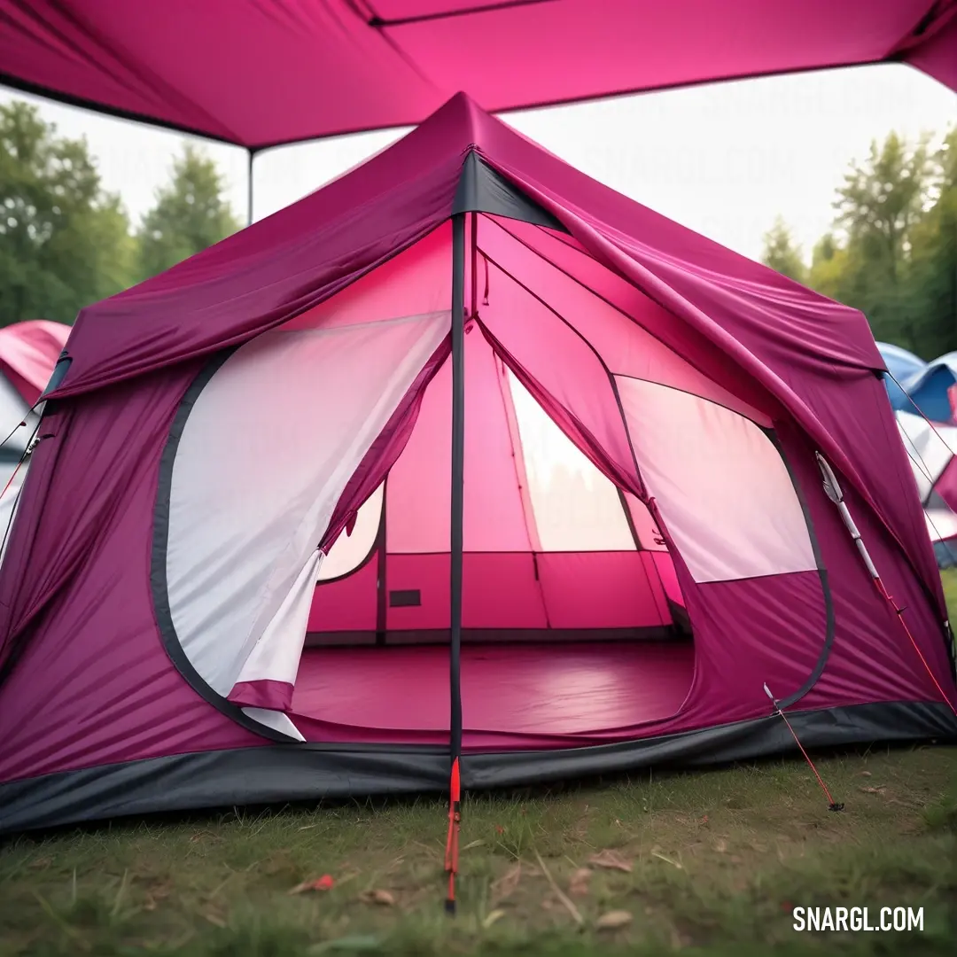 Tent with a pink interior is shown in the grass with other tents in the background. Example of RGB 222,49,99 color.