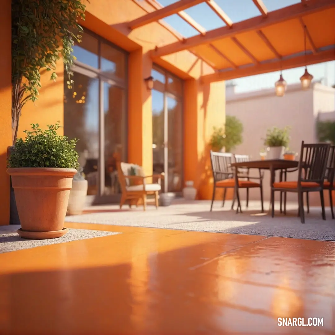 Patio with a table and chairs and a potted plant on the ground in front of it. Color RGB 210,105,30.