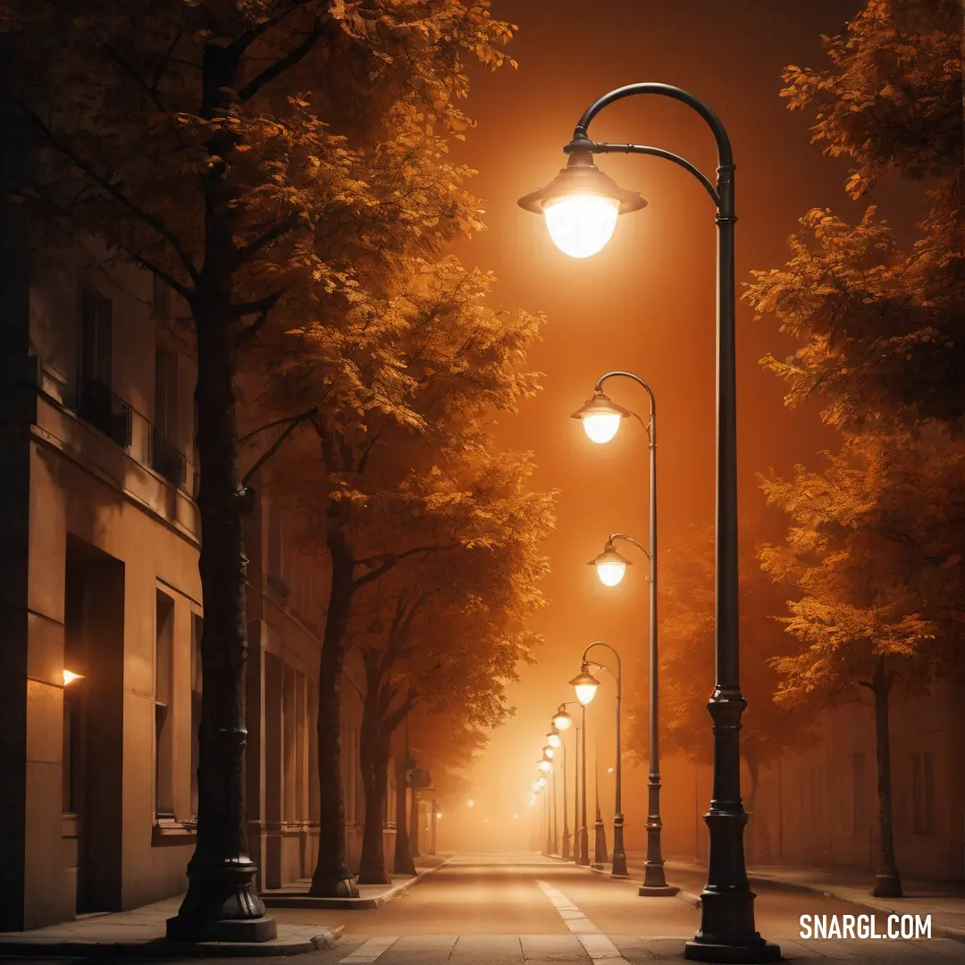 Street light on a street with trees on both sides of it. Example of Chocolate color.