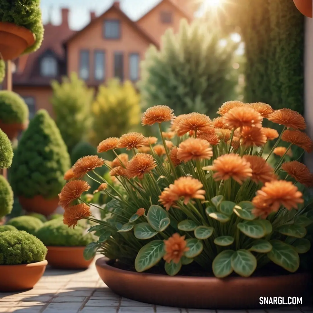 Potted plant with orange flowers in front of a house with a brick walkway and a row of potted plants. Color CMYK 0,50,86,18.