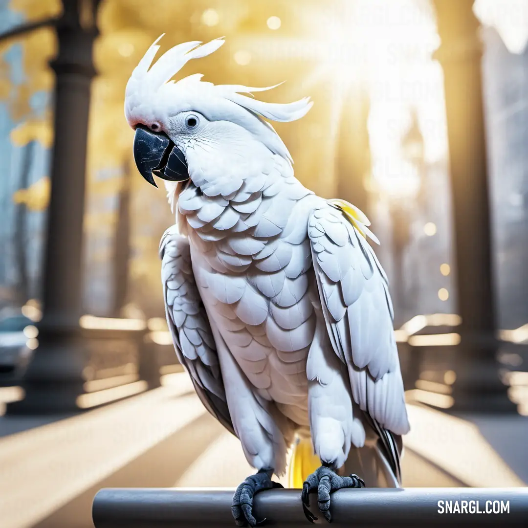 White parrot perched on a rail in a city setting with the sun shining through the trees behind it