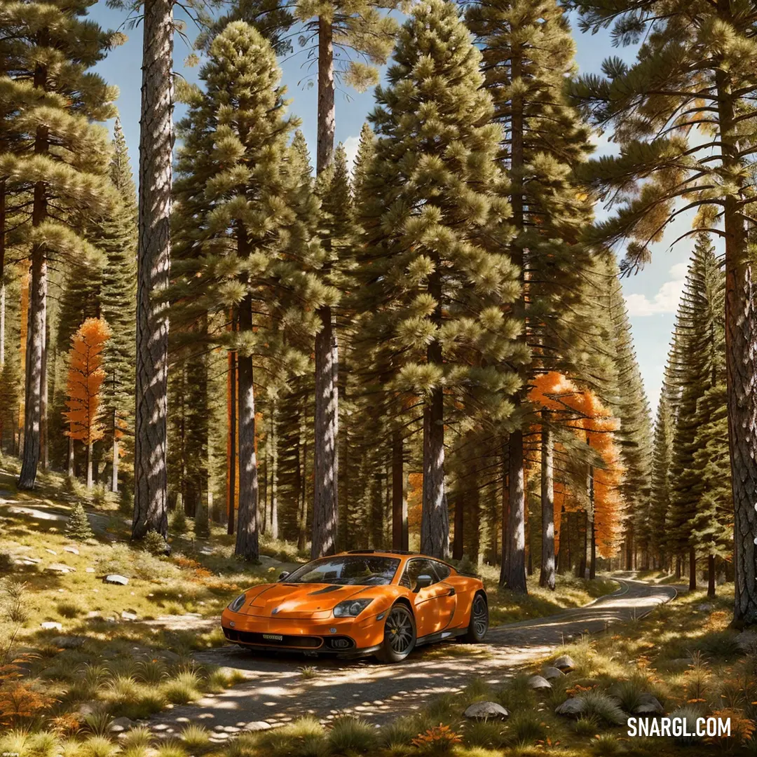 Car driving down a dirt road in the woods near tall trees and a forest - like area with a path. Color Cocoa brown.