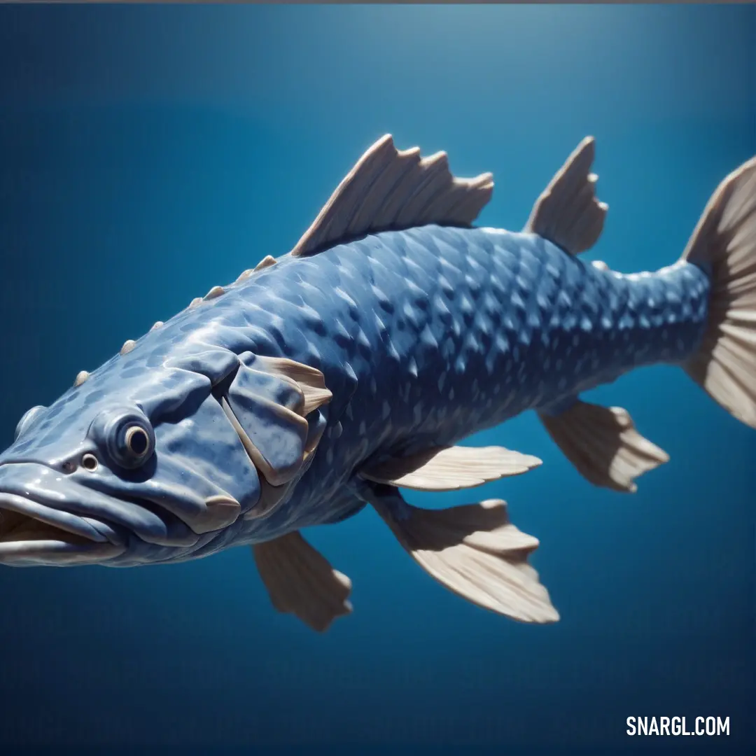 Blue fish with a large mouth and a long tail is floating in the water with a blue background