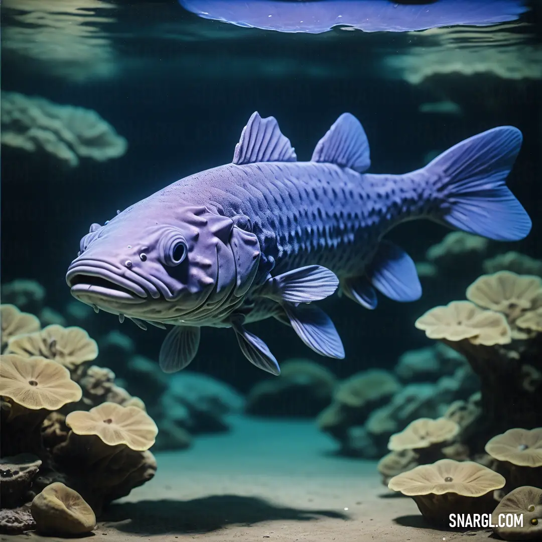 Fish swimming in a large aquarium filled with water and rocks and plants on the bottom of the water