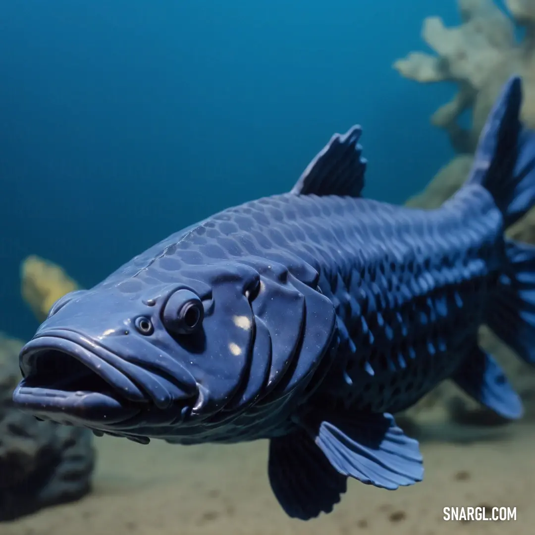 Fish that is swimming in some water near some rocks and plants and sand and water plants