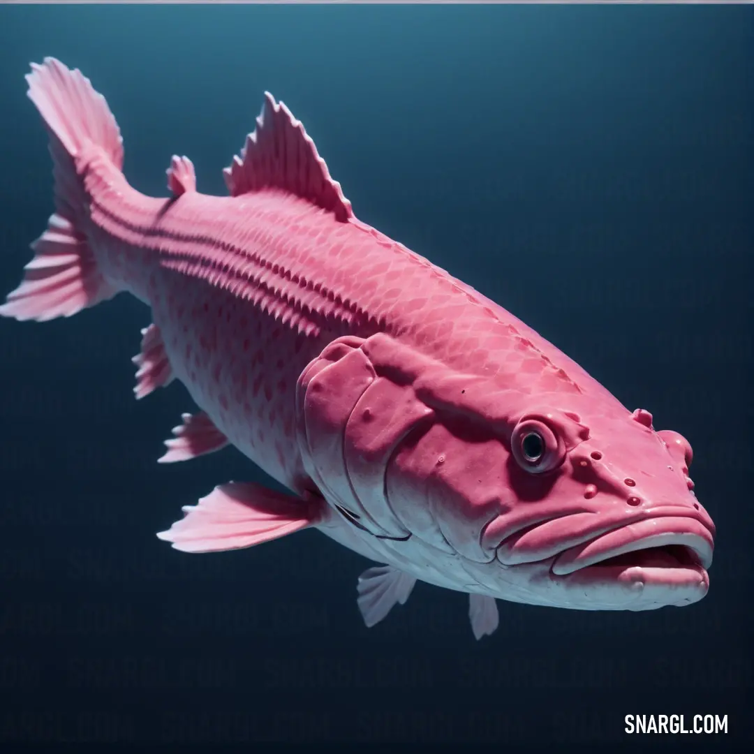 Pink fish floating in the water with a black background