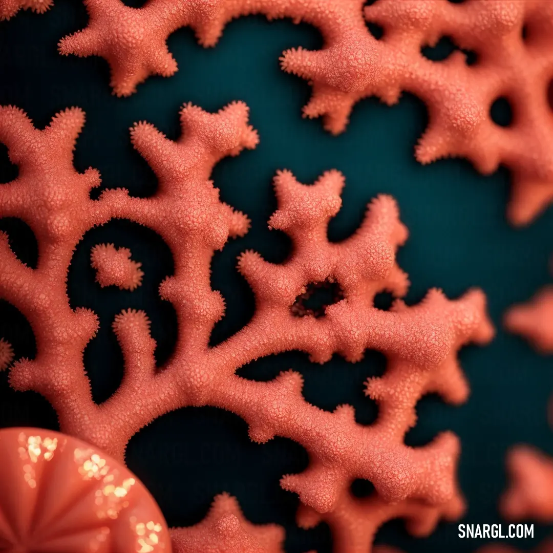 Close up of a coral with a blue background and a red object in the foreground
