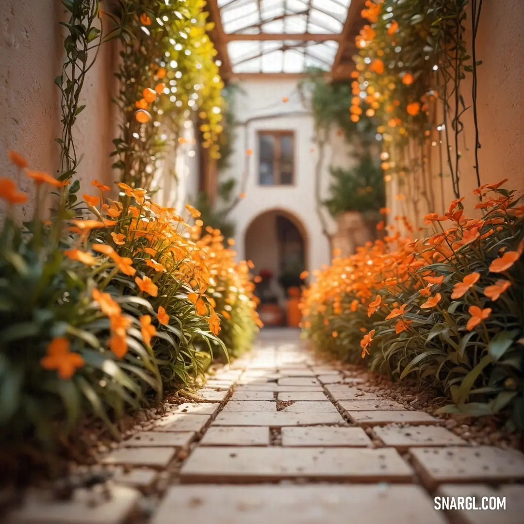 Walkway with orange flowers growing on it and a white building in the background. Color Coral.