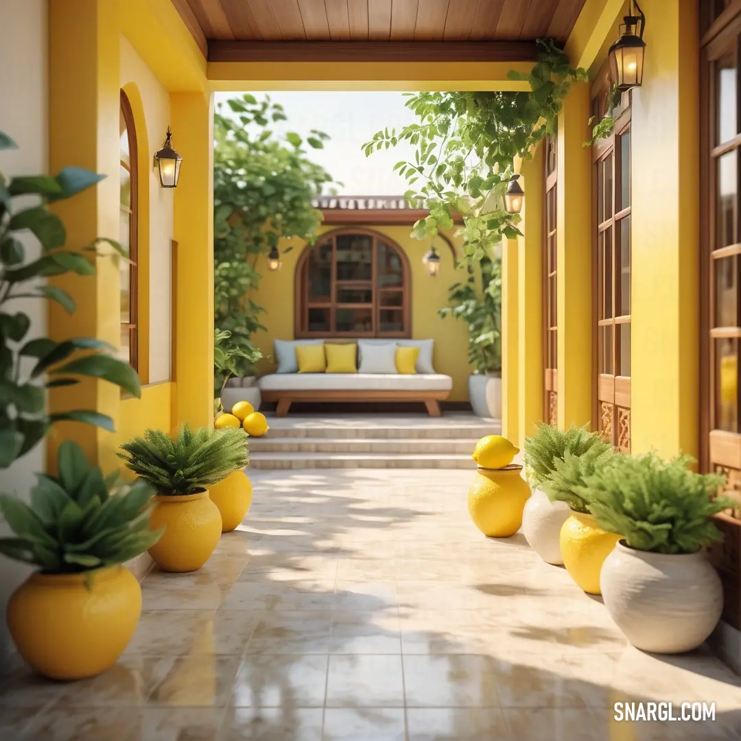 Corn color example: Yellow house with a lot of plants in the front yard and a couch in the back yard behind it