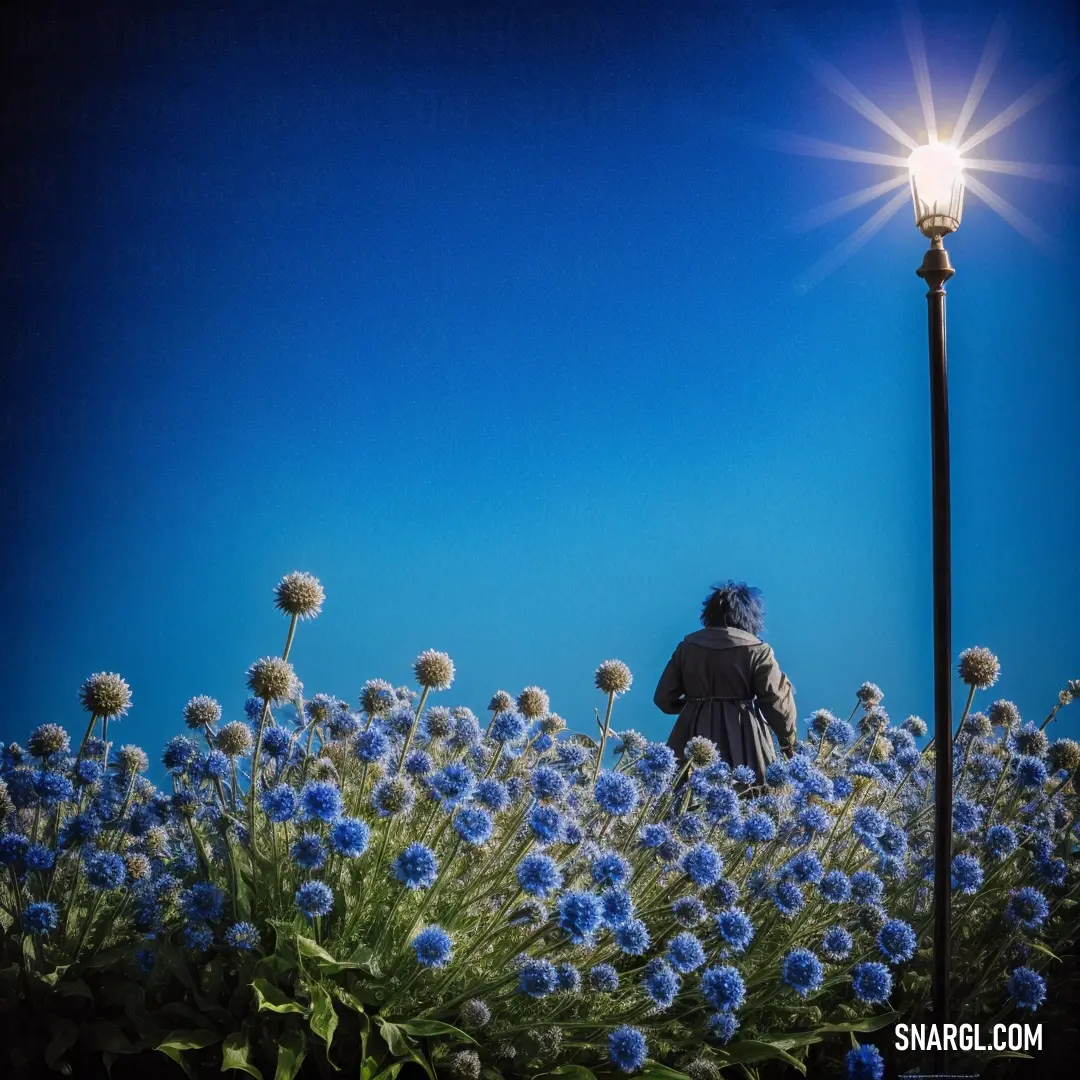 Person standing in a field of flowers under a street light with a blue sky in the background