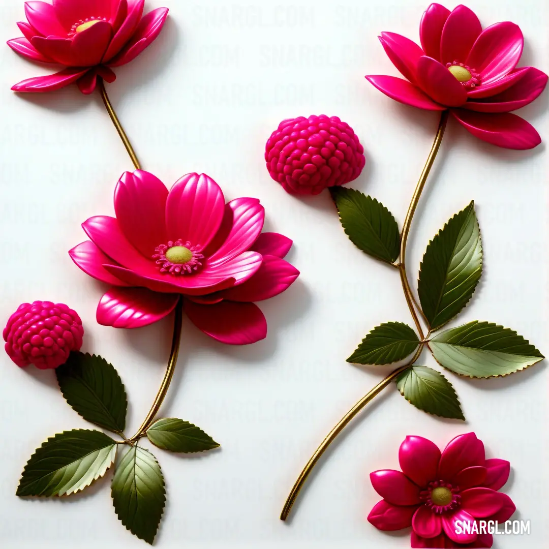 Group of pink flowers with green leaves on a white background