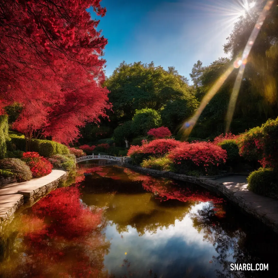 Pond surrounded by trees and a bridge in the middle of it with red leaves on it and a bright sun shining over the water