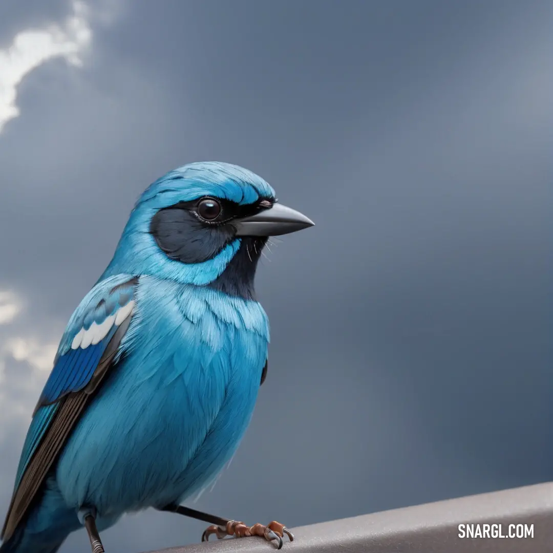 Blue Dacnis on top of a metal pole under a cloudy sky with clouds in the background