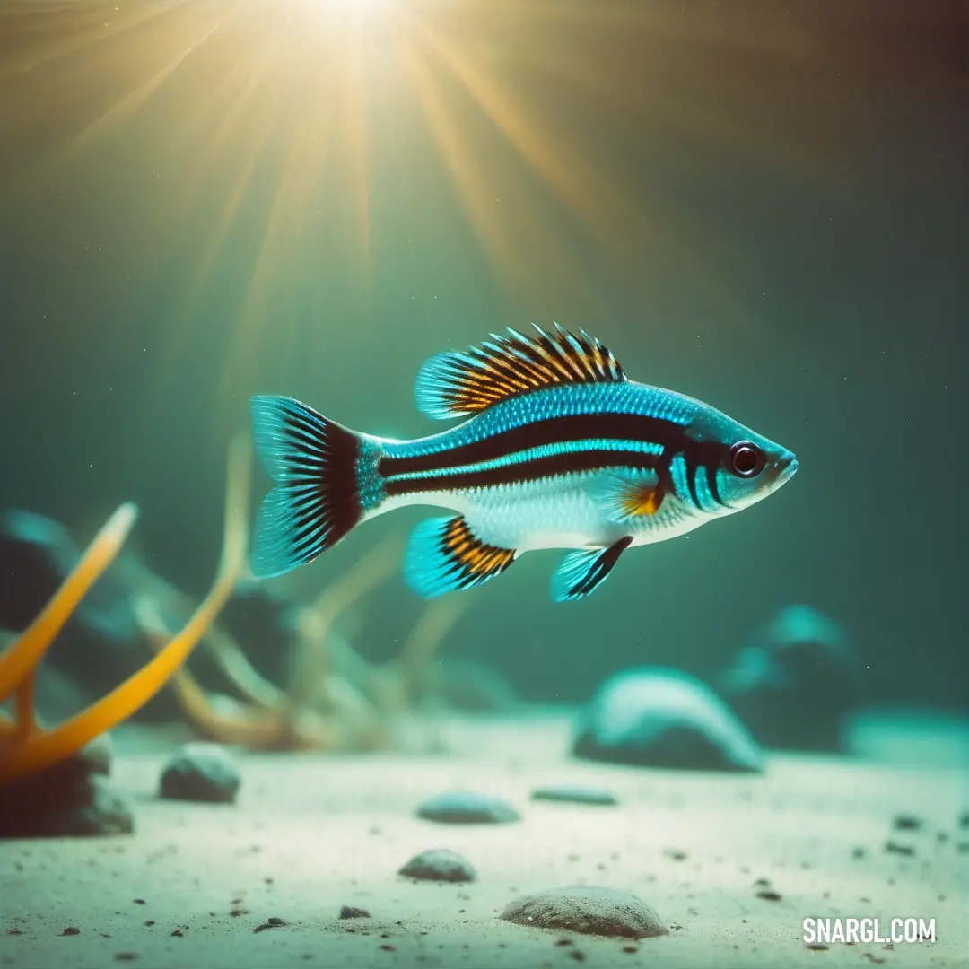 Fish swimming in a large aquarium with rocks and algaes in the water and a bright sun shining on the water