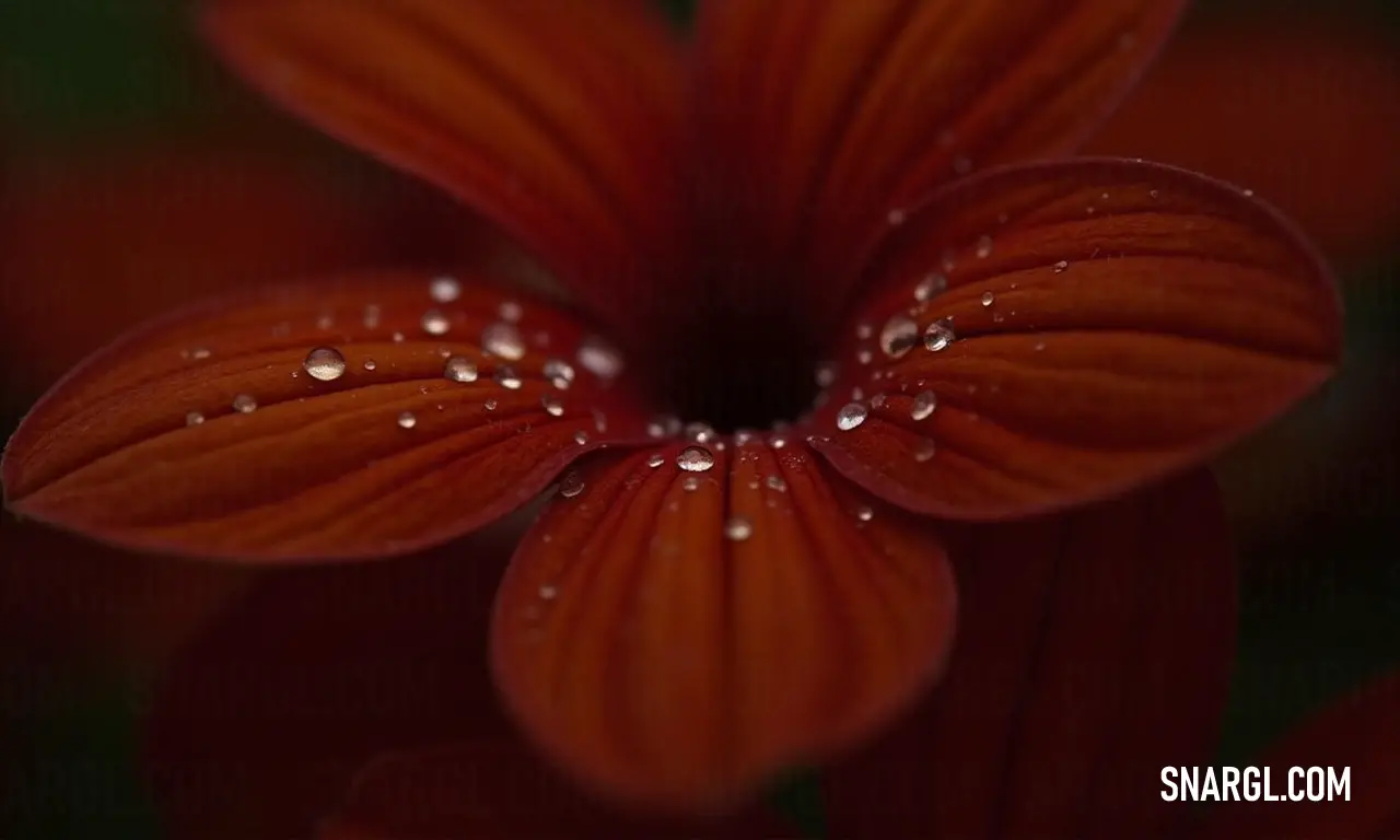 A beautiful close-up of a vibrant flower reveals delicate petals adorned with glistening water droplets, surrounded by lush green foliage. The interplay of moisture and light showcases the intricate details of nature, celebrating life's beauty and complex