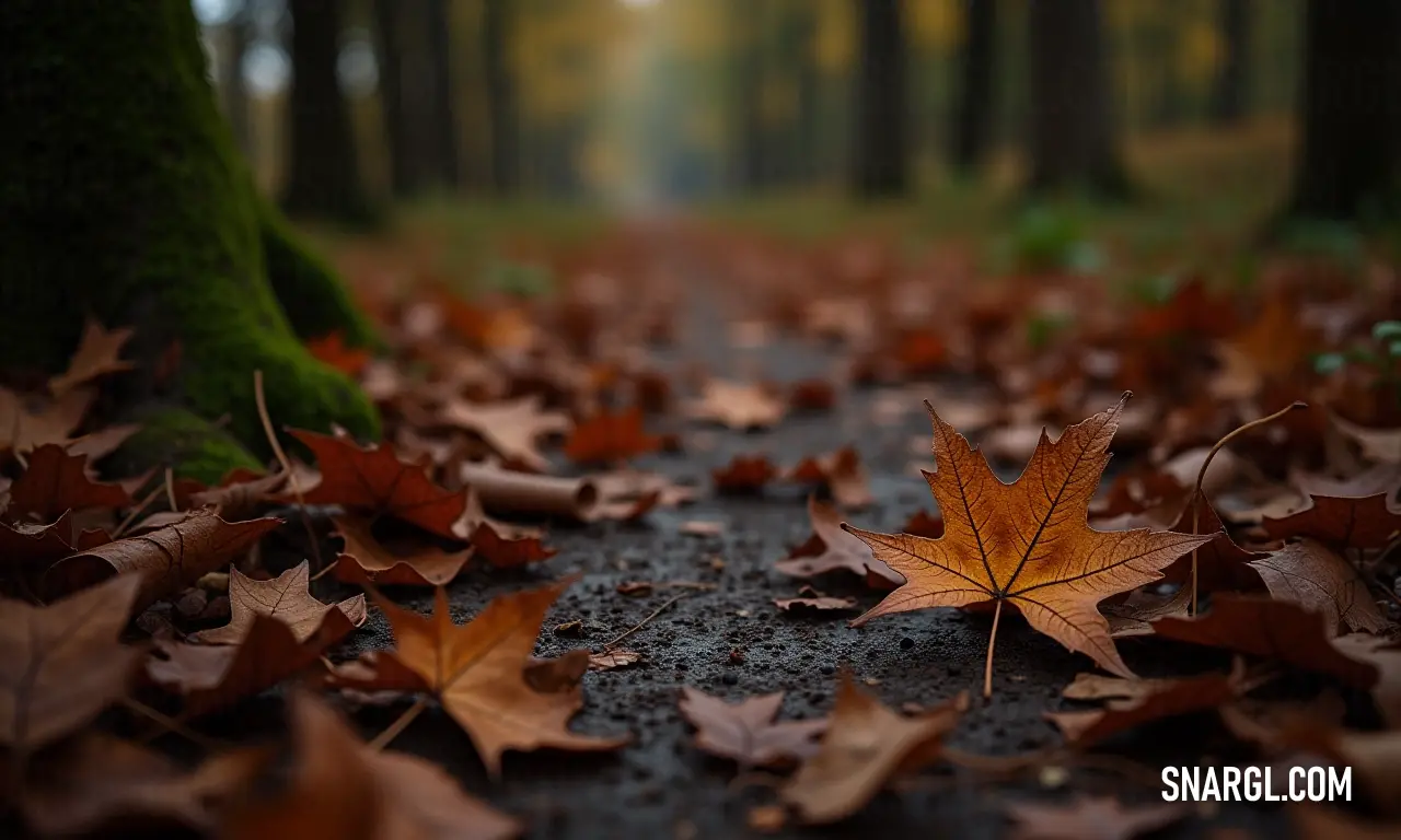 A stunning leaf rests on the soft forest ground, surrounded by towering trees that filter sunlight through their branches. The rich green and earthy tones evoke a sense of tranquility in nature's embrace.