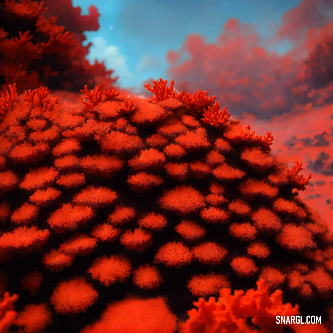Coral with many corals on it under a cloudy sky with clouds in the background and a blue sky