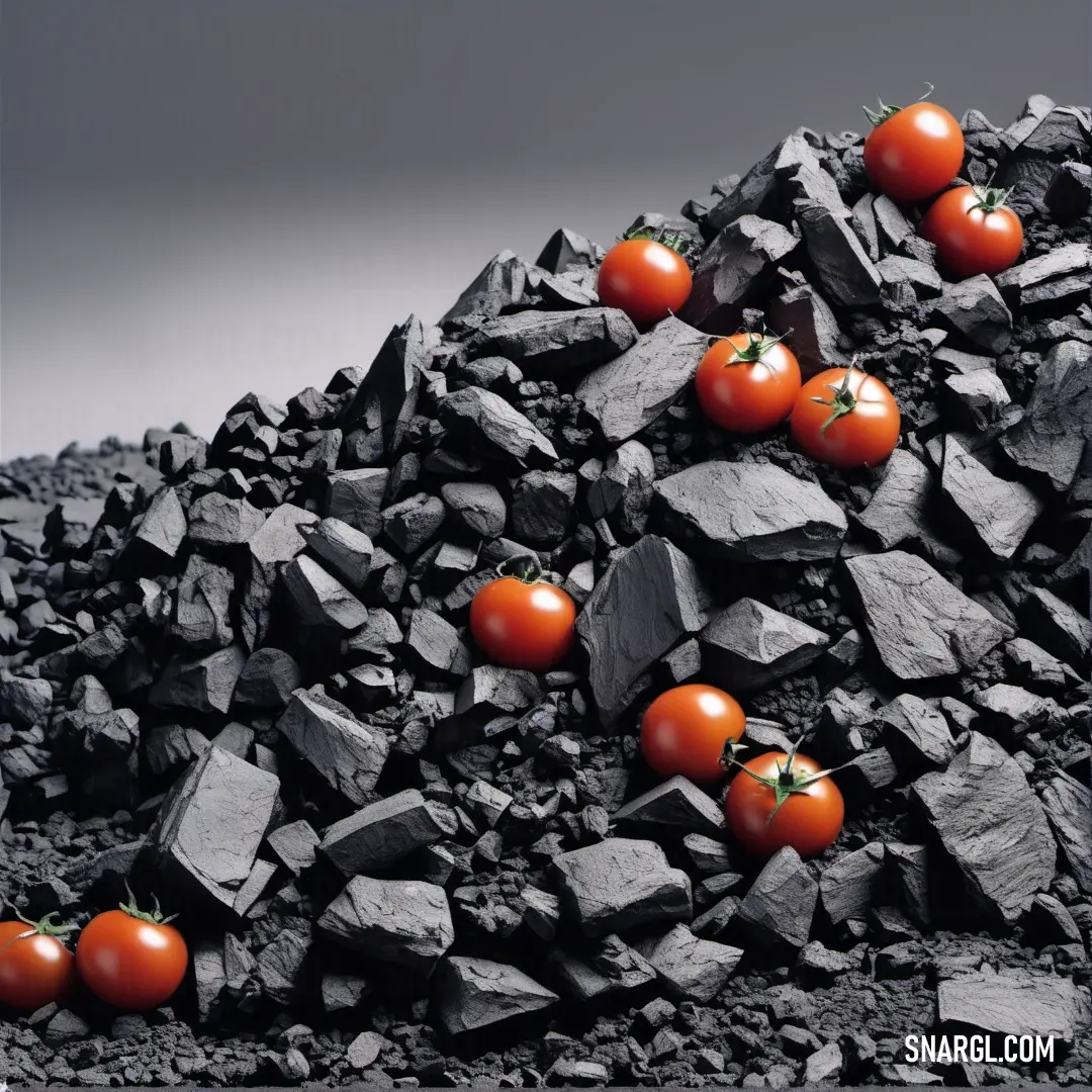 Pile of rocks with tomatoes on them on top of it, with a sky background. Color #CD5B45.
