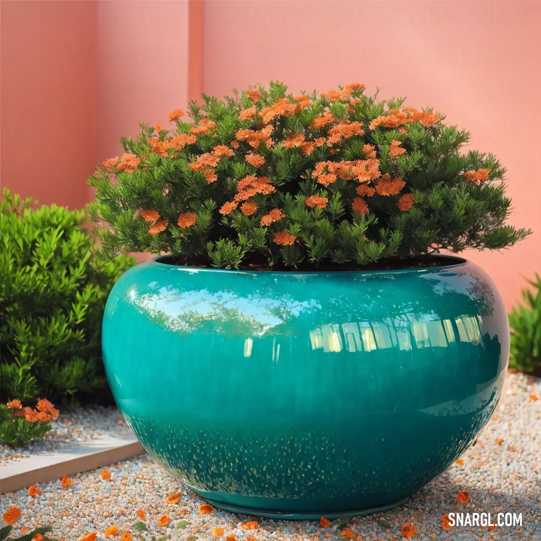 Large blue vase with a plant in it on a gravel ground with flowers in it and a pink wall behind it