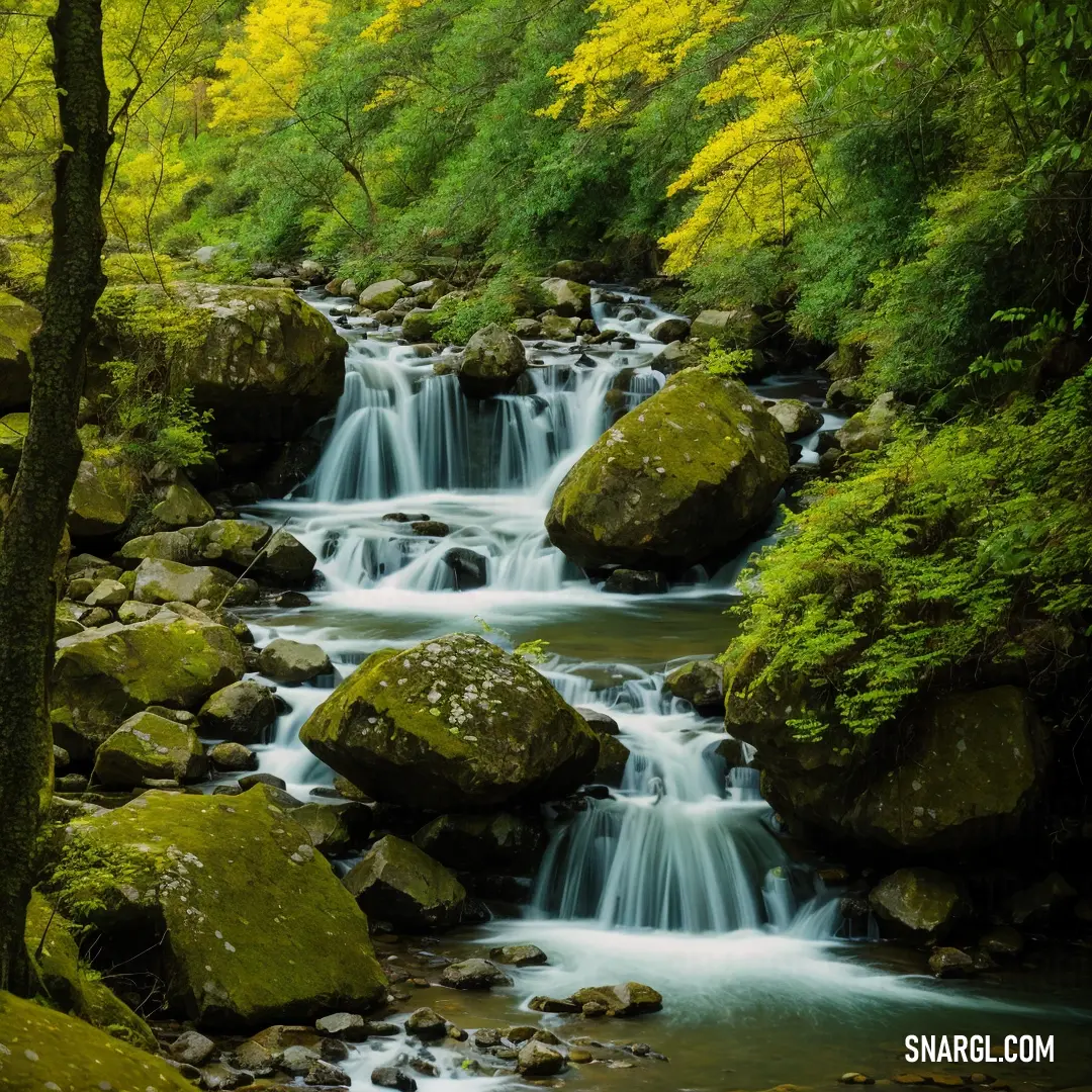Small waterfall in a forest with rocks and trees around it and a few green leaves on the trees. Color CMYK 98,0,36,80.