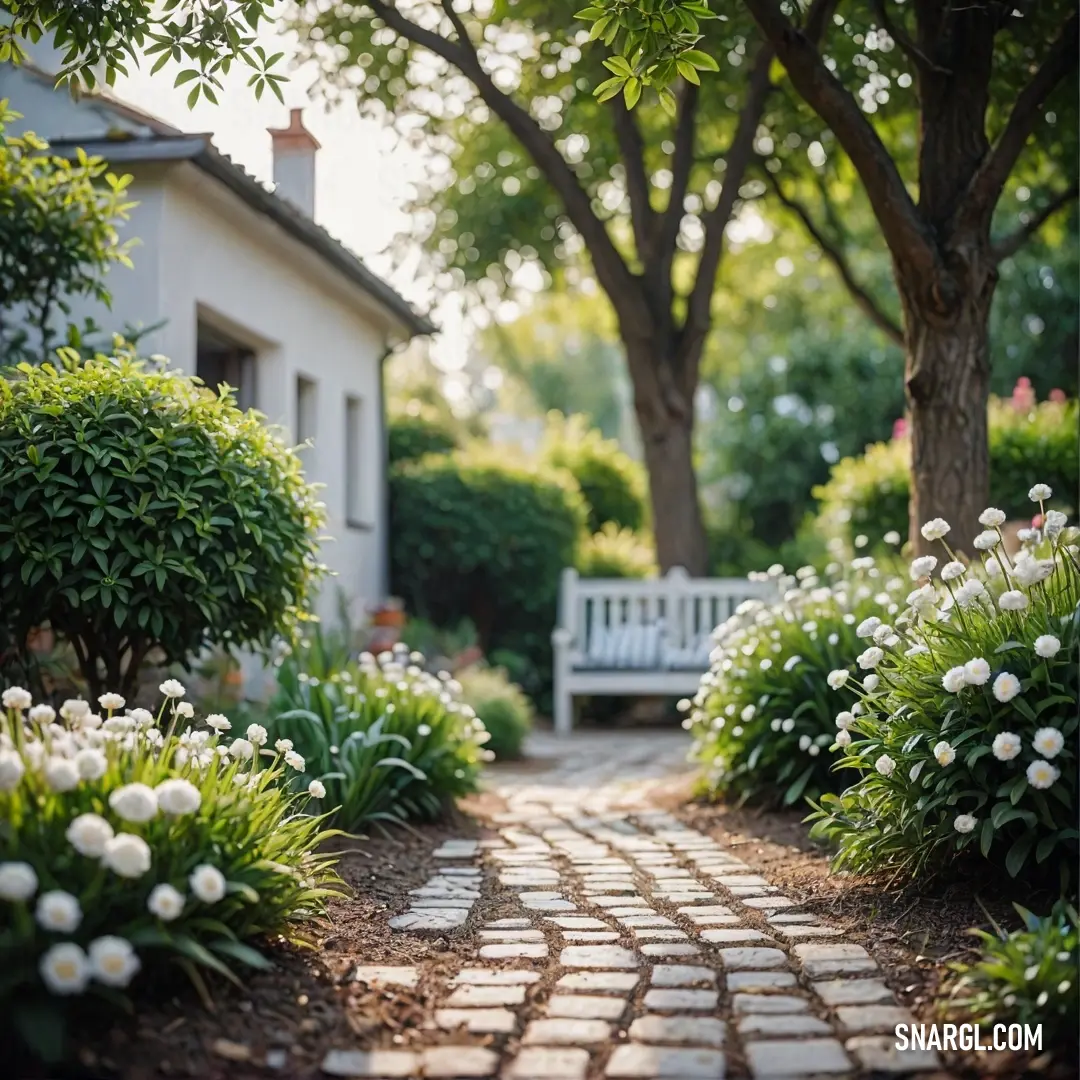 Dark green color example: White bench in the middle of a garden next to a tree and bushes with white flowers on it