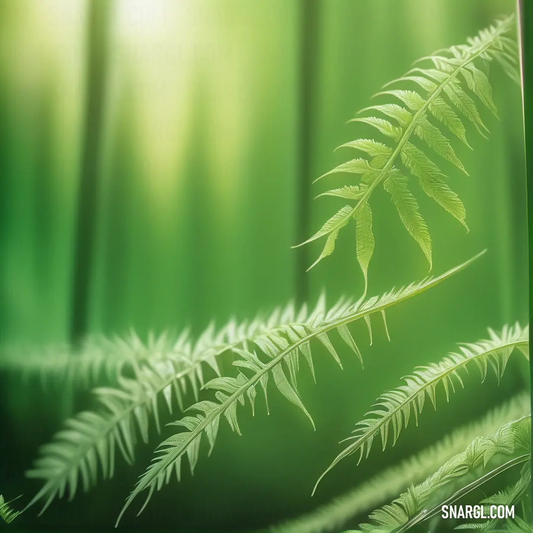 Green leaf is shown in the sunlight in a blurry photo of a bamboo tree with its leaves. Example of CMYK 21,0,56,58 color.