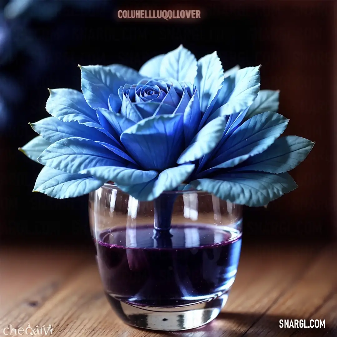 Blue flower in a glass of water on a table with a quote about love written in the bottom