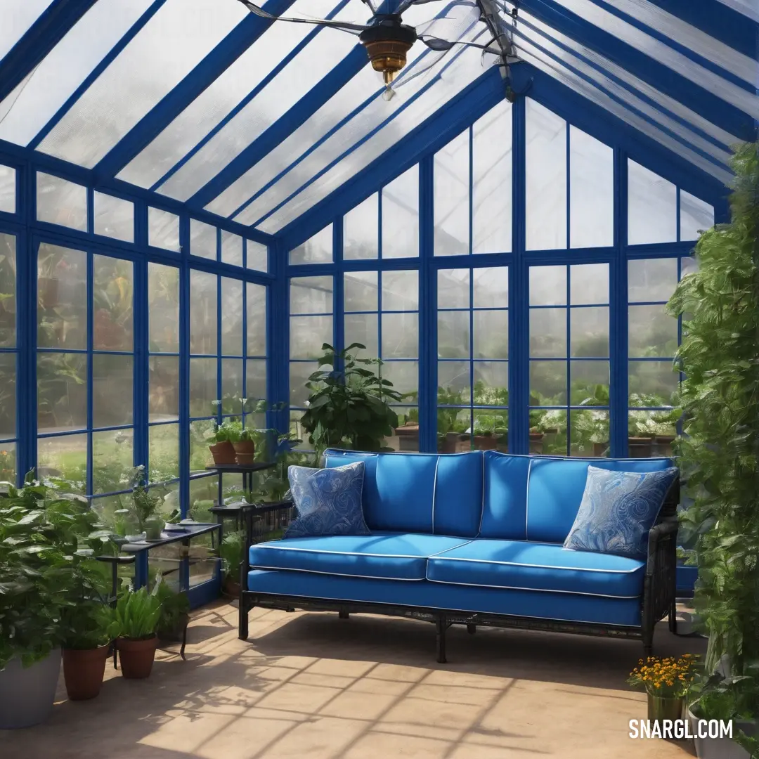 Dark powder blue color example: Blue couch inside of a blue greenhouse filled with plants and potted plants on top of a wooden floor