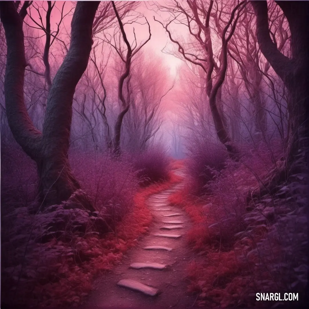 Path leading through a forest with trees and bushes on either side of it. Example of Dark raspberry color.
