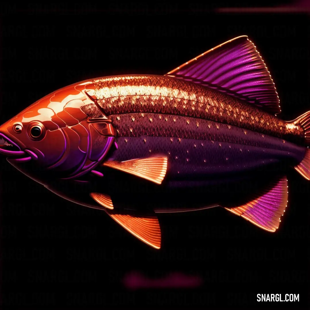 Fish with a purple tail and a red tail on it's head and a black background