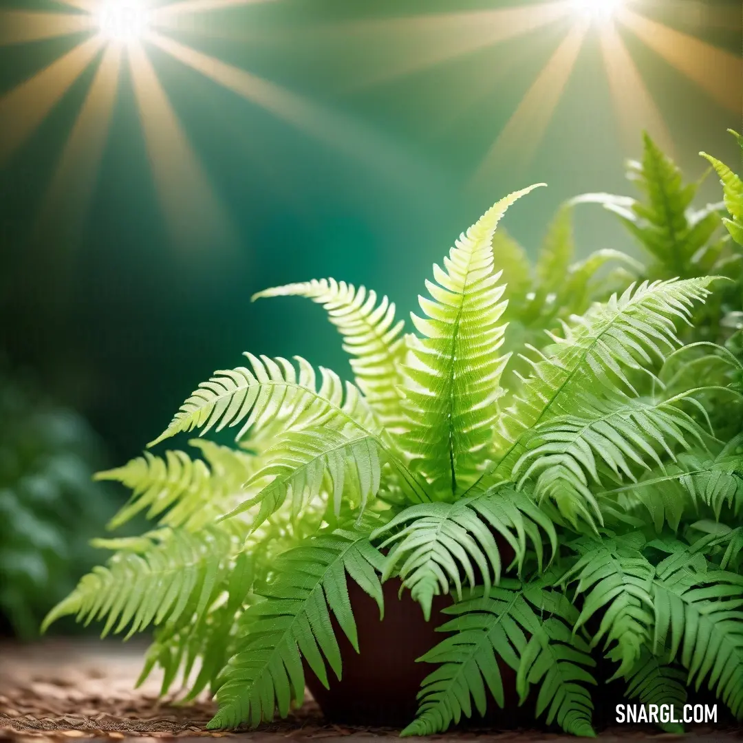 Fern plant with bright lights in the background. Example of #8FBC8F color.