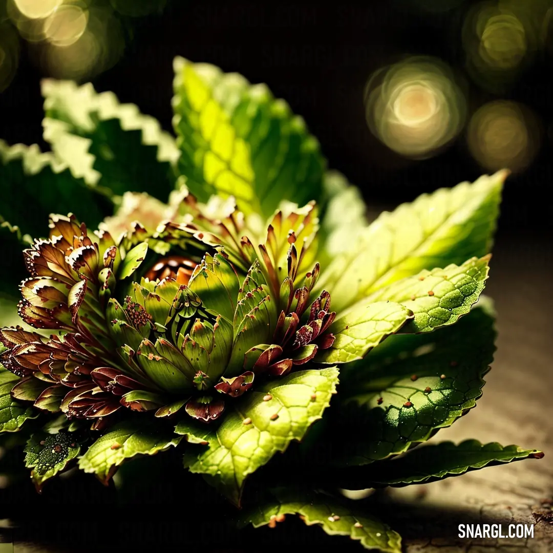 Close up of a flower on a table with a blurry background of leaves and flowers in the background