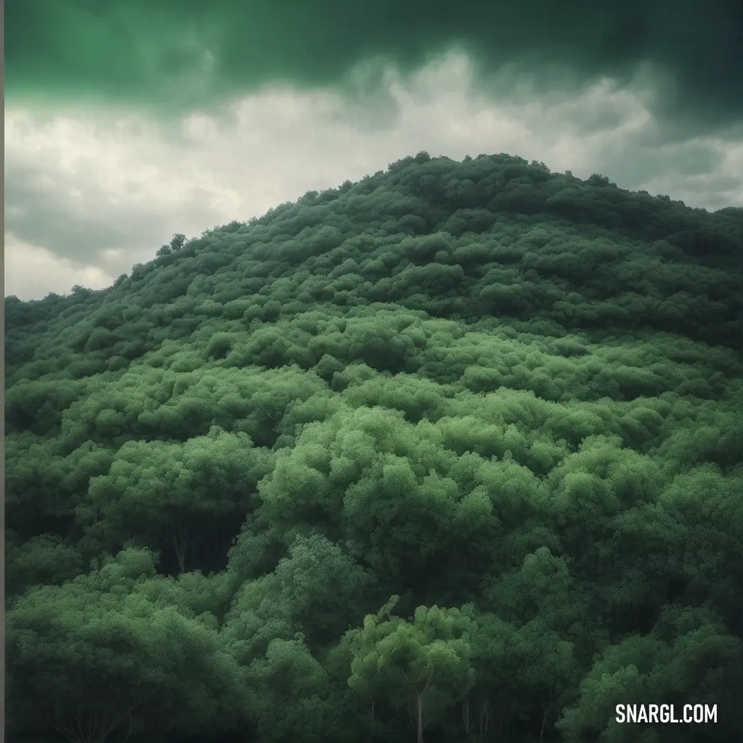 Dark tea green color. Large green tree covered hill under a cloudy sky