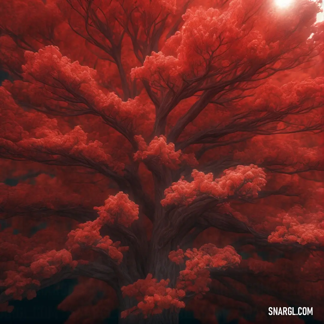 Red tree with a sun shining through it's branches. Example of CMYK 0,80,77,6 color.