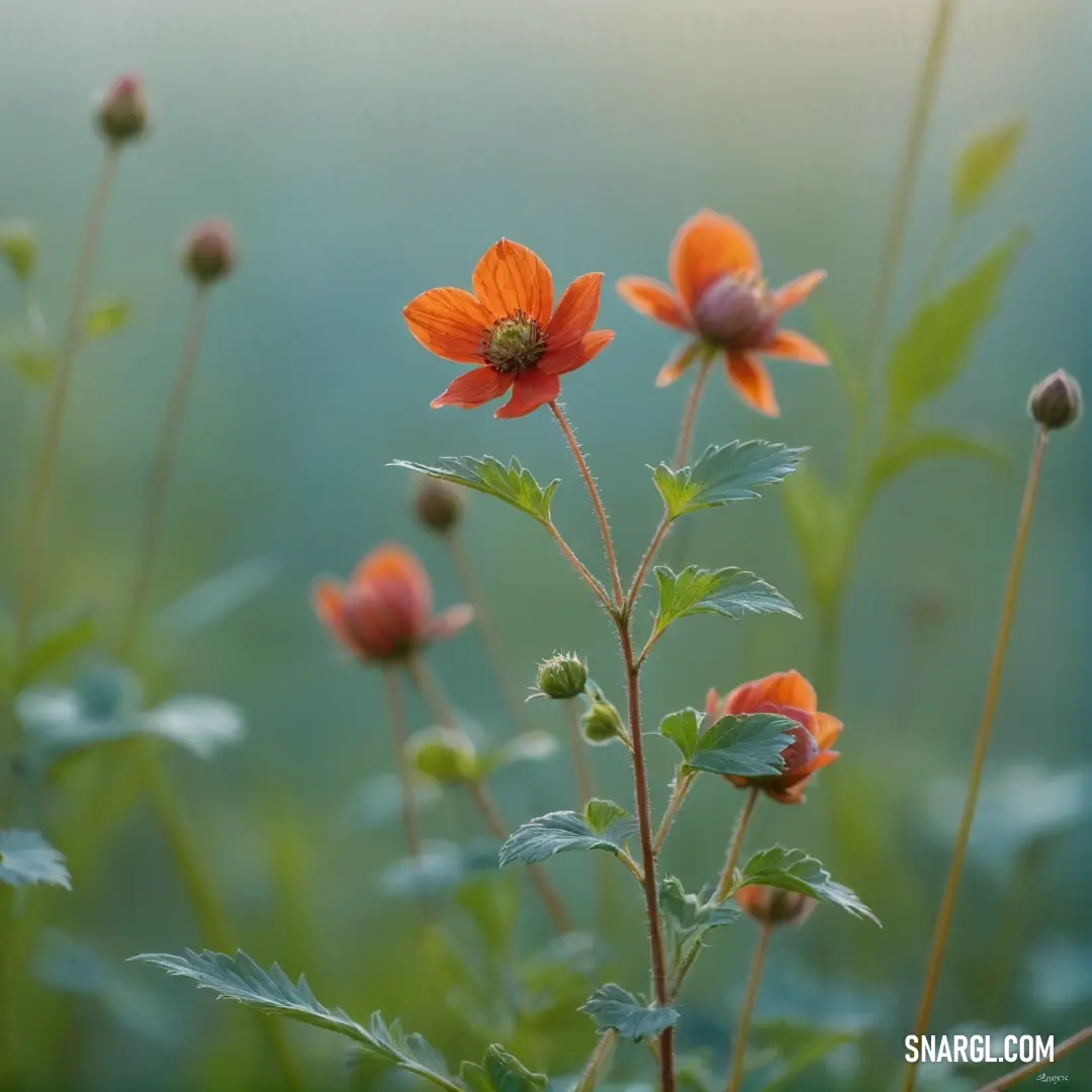 A stunning close-up captures a delicate flower blooming in the foreground, its intricate petals beautifully highlighted against a softly blurred background. The rich array of colors and textures provides a soothing visual experience that conveys the essen