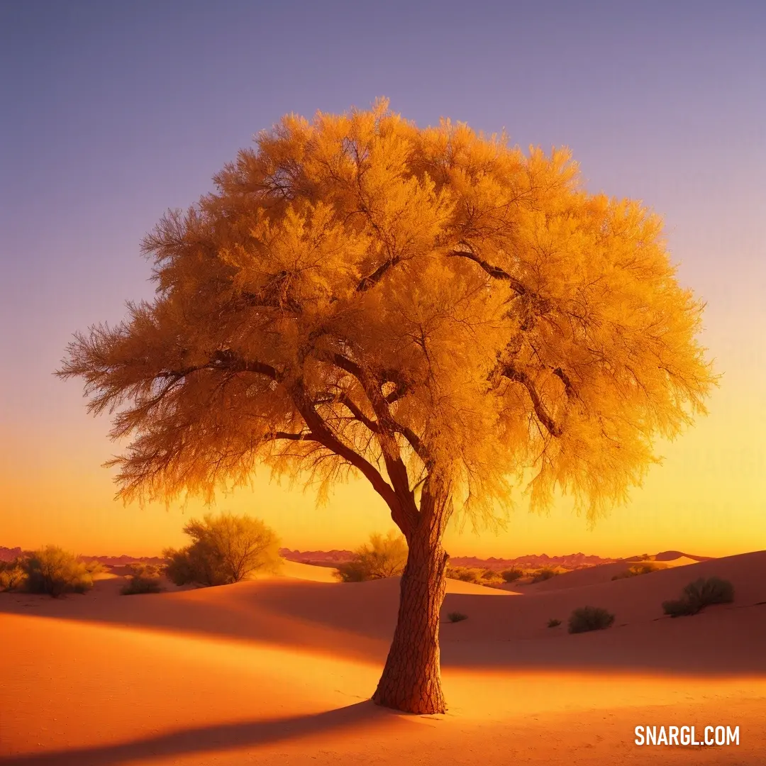 Tree in the desert with a sunset in the background and a sand dune in the foreground with a few bushes. Example of CMYK 0,55,81,9 color.