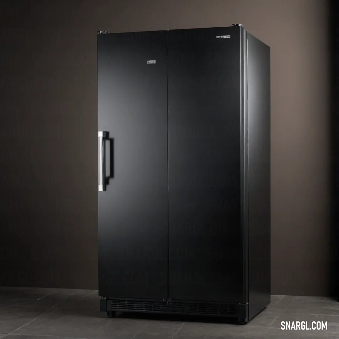 A stylish black refrigerator with a top-mounted freezer stands against a tile floor, complemented by a window and door on the wall that brings in natural light, showcasing the deep coffee color for a contemporary look.