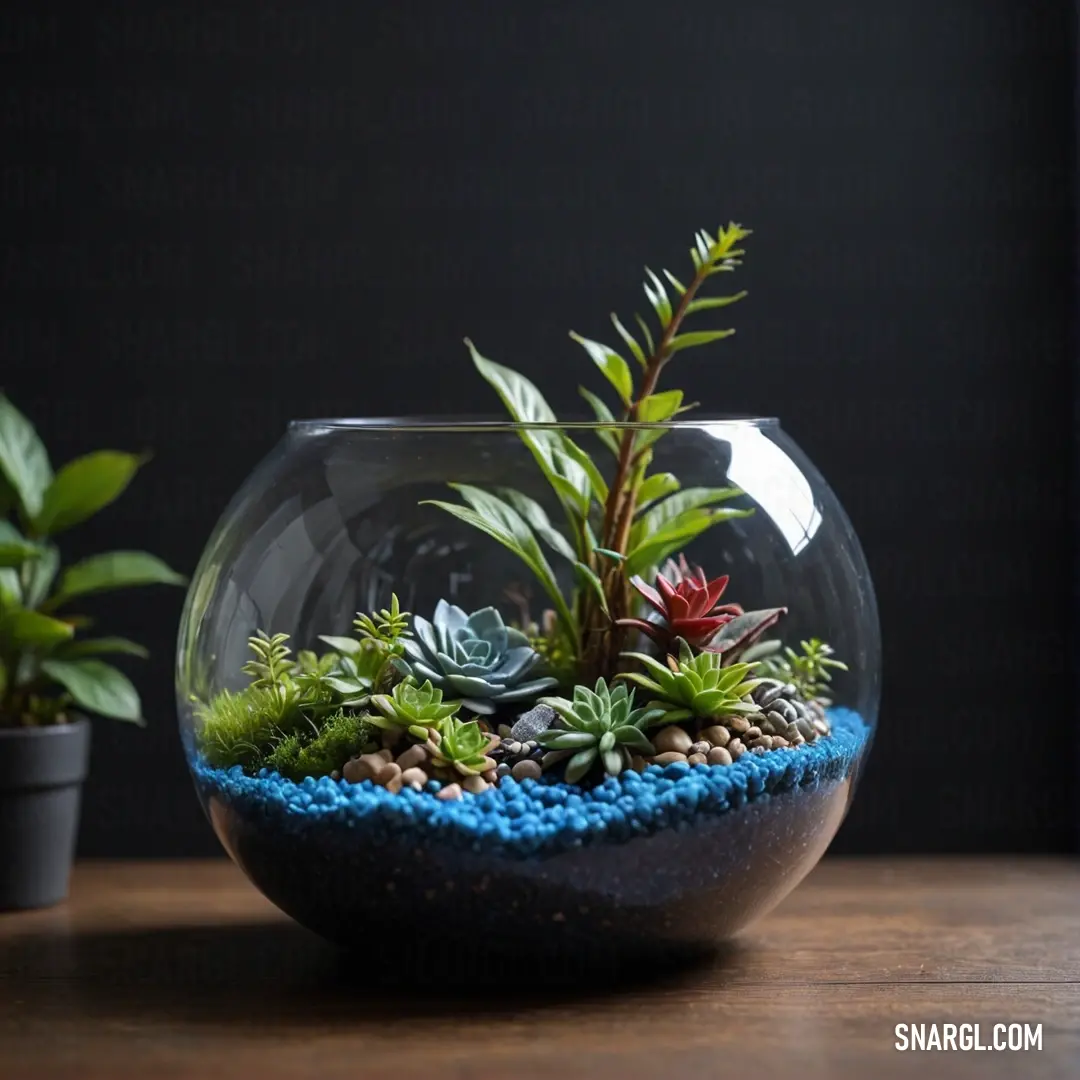 Glass bowl with plants inside of it on a table next to a potted planter and a black wall. Color Denim.
