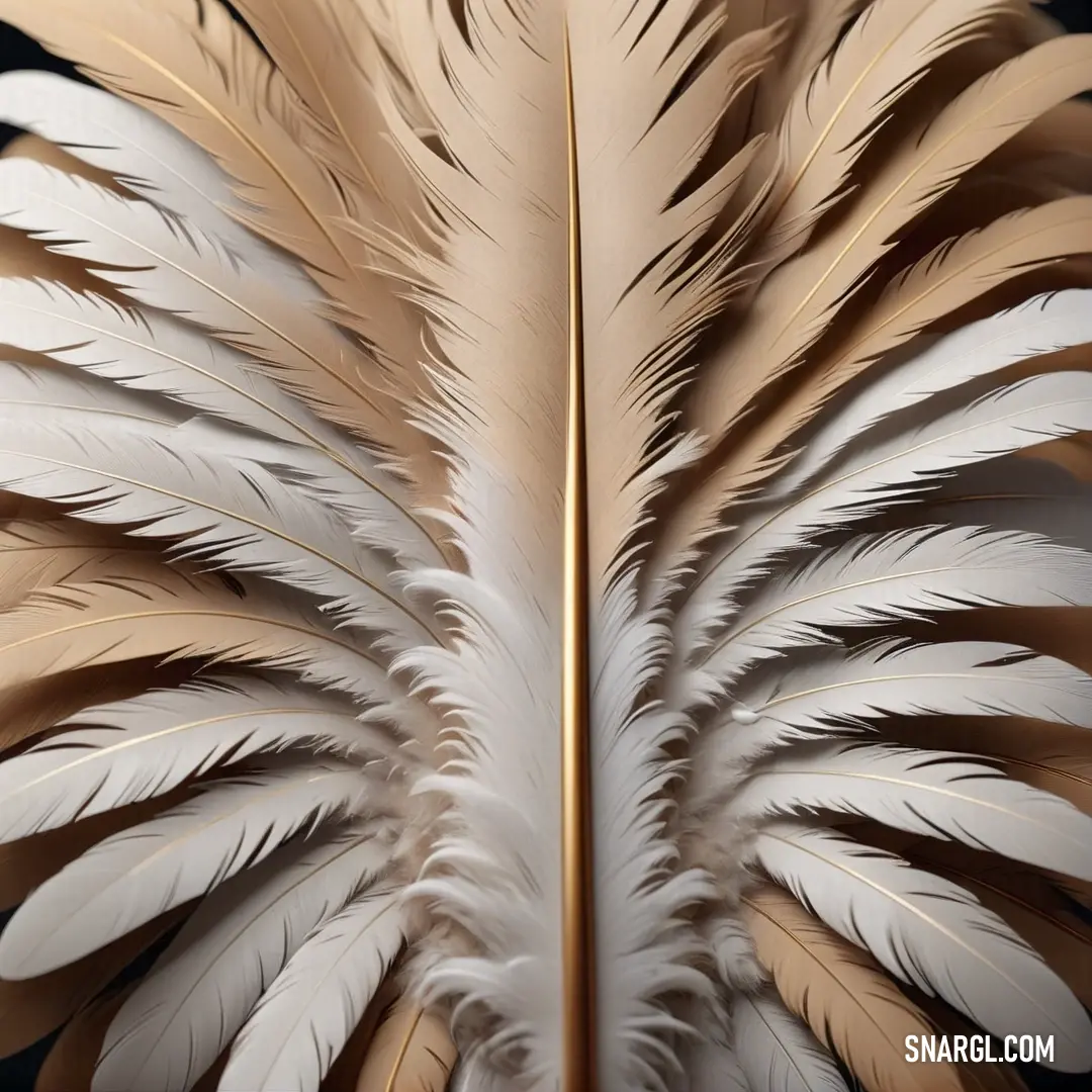 Close up of a white and gold feather pattern on a black background. Example of CMYK 0,20,45,24 color.
