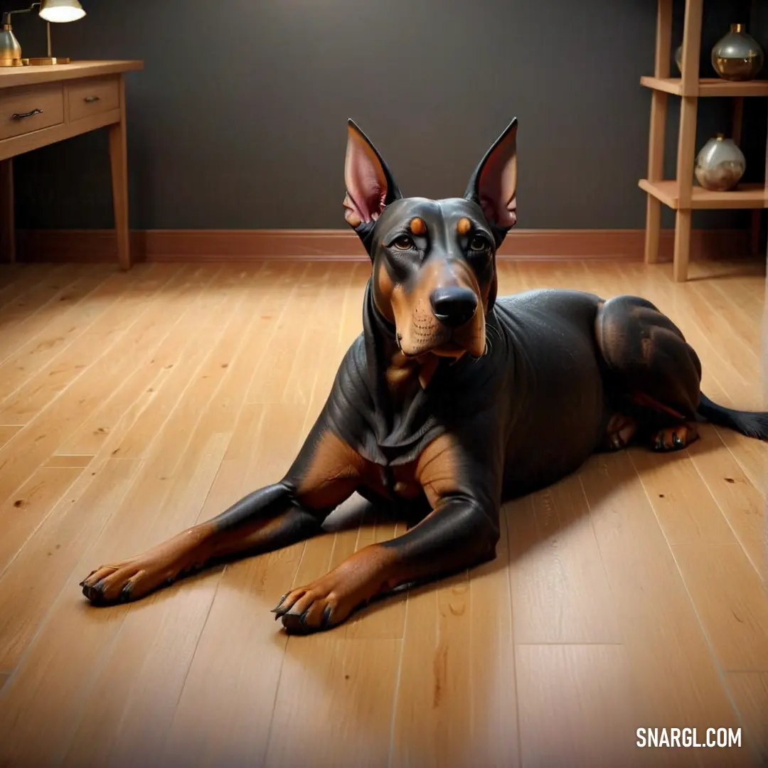Dog laying on the floor in a room with a wooden floor and a table with a lamp on it