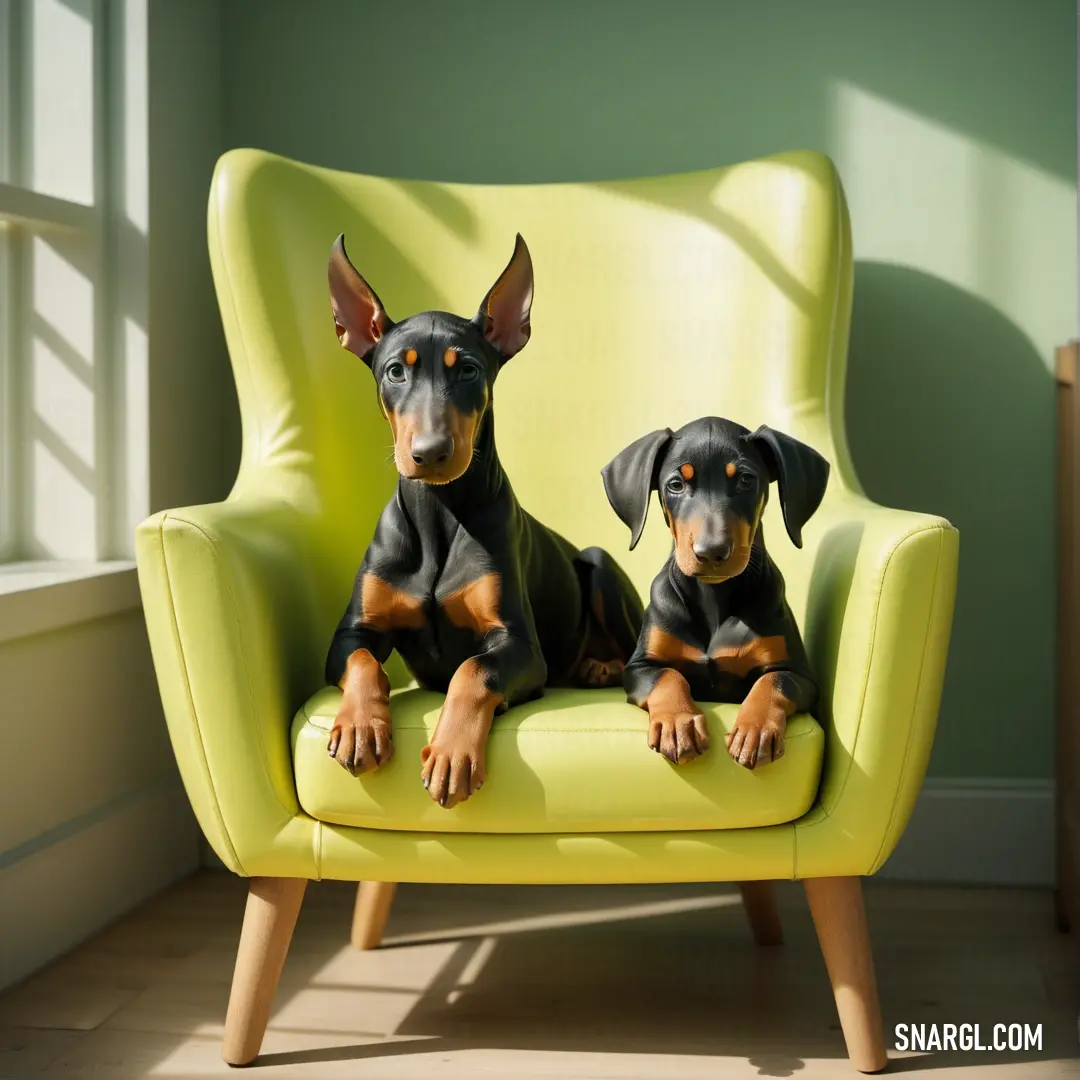 Two dogs on a yellow chair in a room with green walls and a window