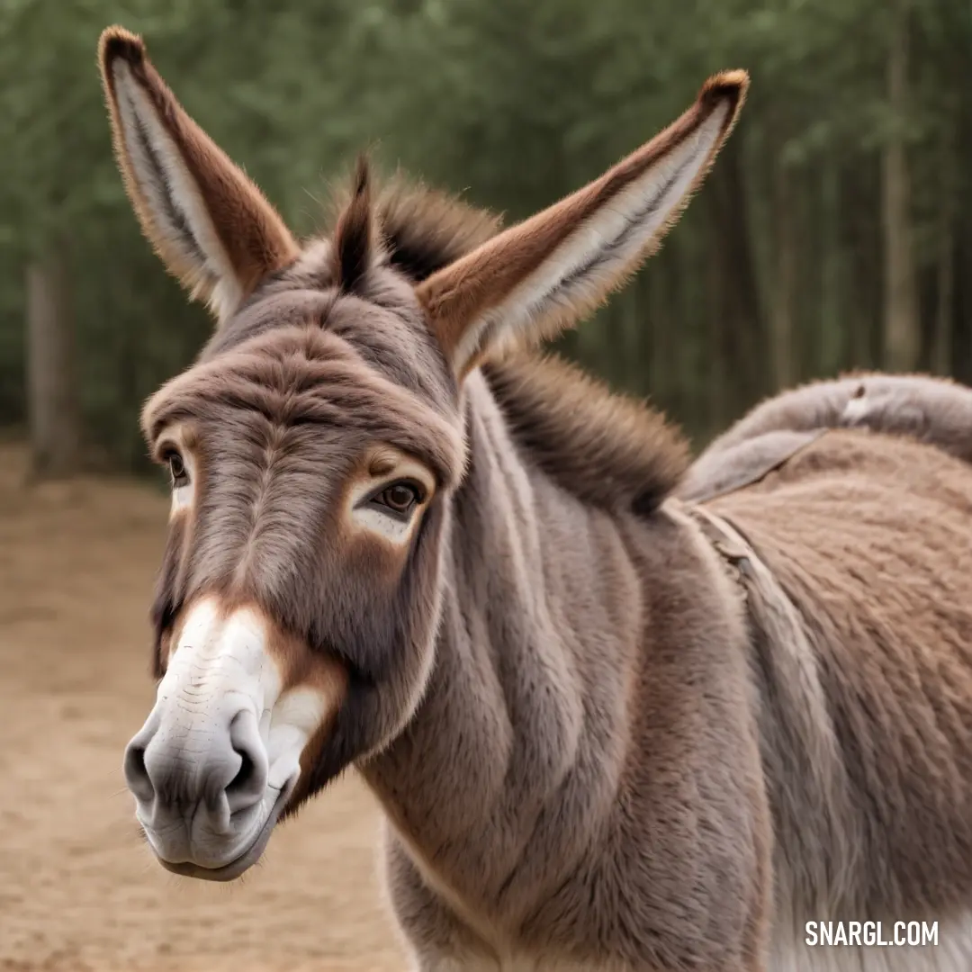 Donkey standing in a dirt field next to a forest of trees and bushes with a white stripe on the nose