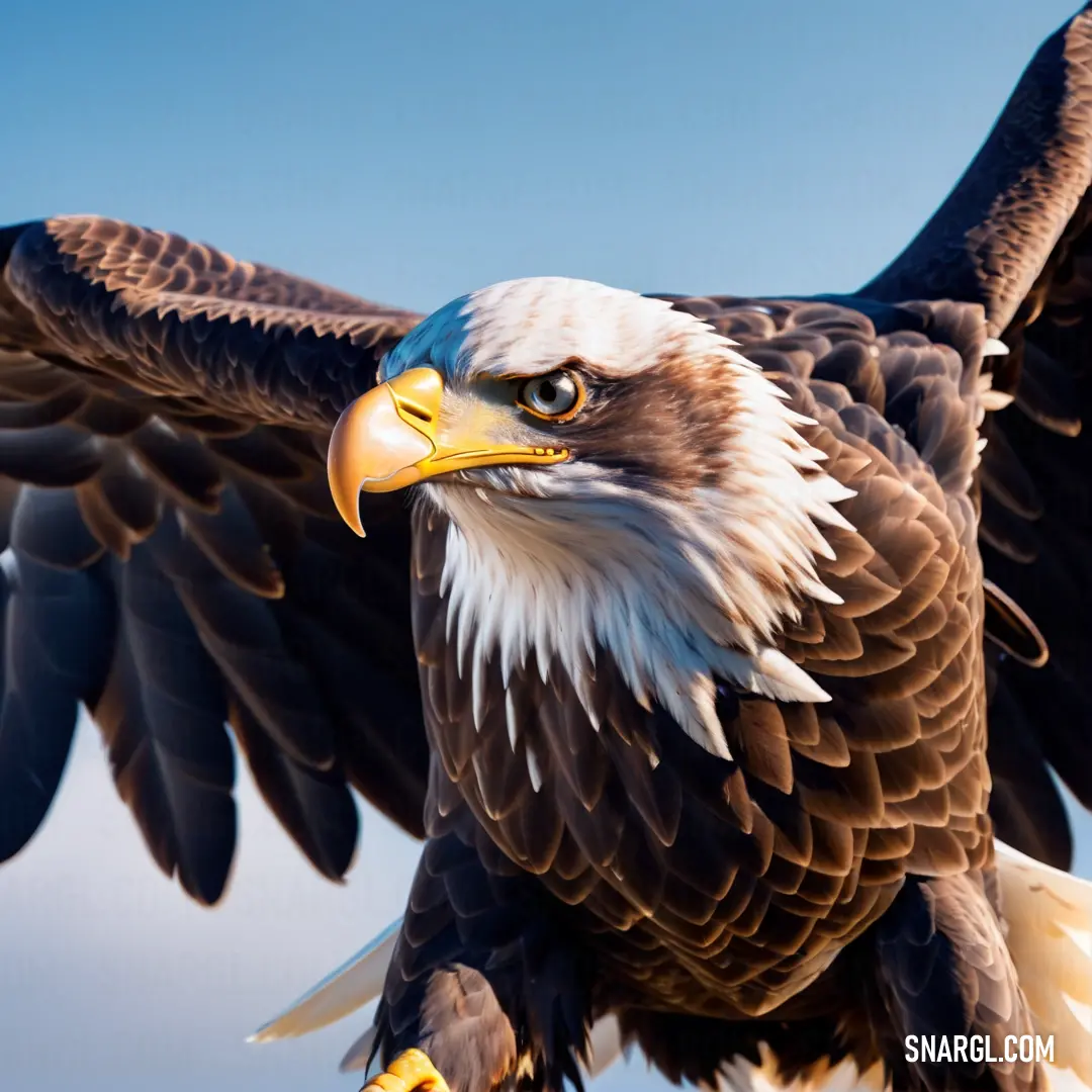 Bald eagle with a blue sky in the background